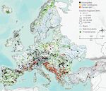 The Same Coin: Hydropower Dams and the Biodiversity Crisis