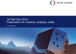 1st Half-Year 2016 Presentation for investors, analysts, media - 17 August 2016