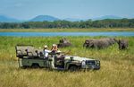 Best in Travel 2022 - Robin Pope Safaris