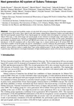 Next generation AO system of Subaru Telescope