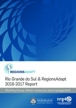 Rio Grande do Sul & RegionsAdapt 2016-2017 Report - Working Group: Water resources and management - nrg4SD