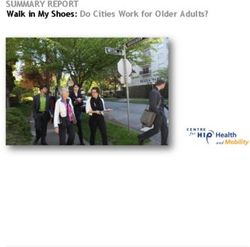 SUMMARY REPORT Walk in My Shoes: Do Cities Work for Older Adults?