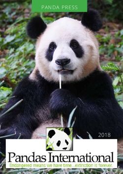 PANDA PRESS 2018 - Pandas International