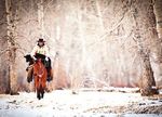 Sleepy Eye, MN 56085 P.O. Box 8000 Calendar Co-op Center - The Foundation For The Horse