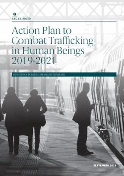 Action Plan to Combat Trafficking in Human Beings 2019-2021 - MINISTRY OF FOREIGN AFFAIRS OF DENMARK