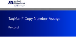 TAQMAN COPY NUMBER ASSAYS - PROTOCOL