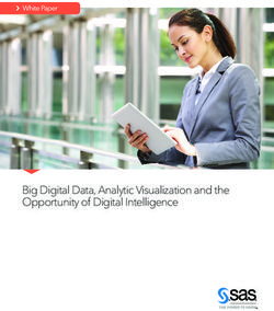Big Digital Data, Analytic Visualization and the Opportunity of Digital Intelligence - White Paper