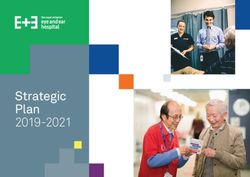 Strategic Plan 2019-2021 - Royal Victorian ...