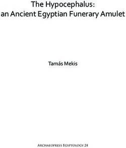 The Hypocephalus: an Ancient Egyptian Funerary Amulet - Tamás Mekis - Archaeopress Egyptology 24