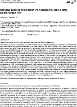 Seasonal patterns of litterfall in the floodplain forest of a large Mediterranean river