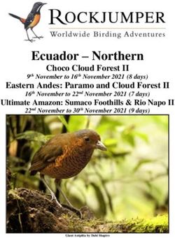 Ecuador - Northern Choco Cloud Forest II - Rockjumper Birding