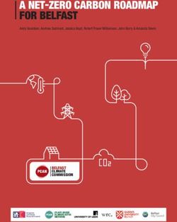 A NET-ZERO CARBON ROADMAP FOR BELFAST - BELFAST CLIMATE COMMISSION - Andy Gouldson, Andrew Sudmant, Jessica Boyd, Robert Fraser Williamson, John ...