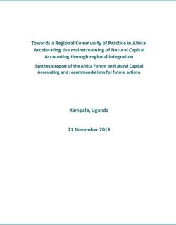 Towards a Regional Community of Practice in Africa: Accelerating the mainstreaming of Natural Capital Accounting through regional integration ...