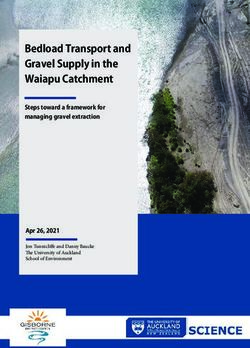 Bedload Transport and Gravel Supply in the Waiapu Catchment