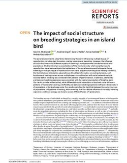 The impact of social structure on breeding strategies in an island bird - Nature