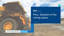 Peru. Situation of the mining sector - BBVA Research