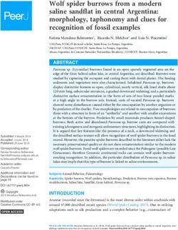 Wolf spider burrows from a modern saline sandflat in central Argentina: morphology, taphonomy and clues for recognition of fossil examples - PeerJ