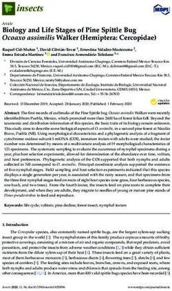 Biology and Life Stages of Pine Spittle Bug Ocoaxo assimilis Walker (Hemiptera: Cercopidae) - MDPI