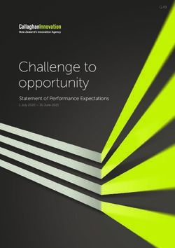 Challenge to opportunity - Statement of Performance Expectations 1 July 2020 - 30 June 2021