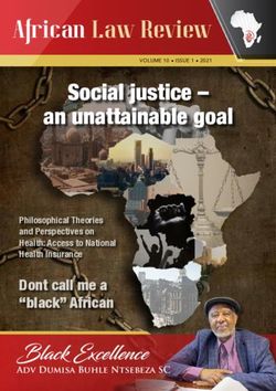 Social justice - an unattainable goal - Black Excellence - African Law Review - SAFLII
