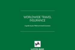 WORLDWIDE TRAVEL INSURANCE - A guide to your Platinum travel insurance