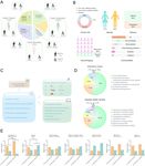 In-depth analysis reveals complex molecular aetiology in a cohort of idiopathic cerebral palsy - Oxford Academic Journals