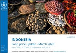 INDONESIA Food price update - March 2020 Focus: Effect of COVID-19 outbreak on food prices - WFP