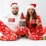 Season Long Fundraisers - PAWS Chicago