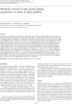 Metabolic activity in optic tectum during regeneration of retina in adult goldfish