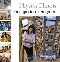 Physics Illinois Undergraduate Programs - Department Of Physics College ...