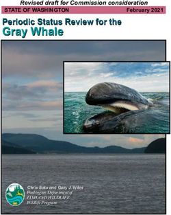 Gray Whale Periodic Status Review for the - Revised draft for Commission consideration - WDFW