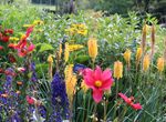 English Summer Gardens with Hampton Court Garden Festival 3rd - 8th July 2022 (5 nights) - Sisley Garden Tours