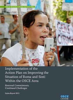 Implementation of the Action Plan on Improving the Situation of Roma and Sinti Within the OSCE Area