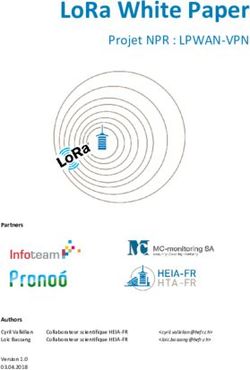 LORA WHITE PAPER PROJET NPR : LPWAN-VPN - PARTNERS AUTHORS - ELVEXYS