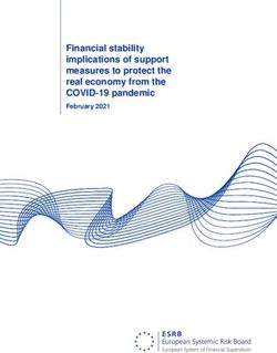 Financial stability implications of support measures to protect the real economy from the COVID-19 pandemic - February 2021