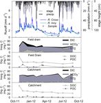 Magnitude, form and bioavailability of fluvial carbon exports from Irish organic soils under pasture