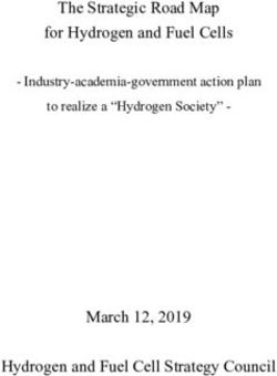 The Strategic Road Map for Hydrogen and Fuel Cells - March 12, 2019 Hydrogen and Fuel Cell Strategy Council - Industry-academia-government ...