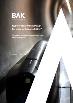 Hyperloop: a breakthrough for vacuum transportation? - Technology analysis and evaluation of com-mercial prospects