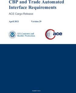 CBP and Trade Automated Interface Requirements - ACE Cargo Release April 2021 Version 29 - US ...