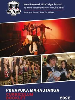 PUKAPUKA MARAUTANGA CURRICULUM