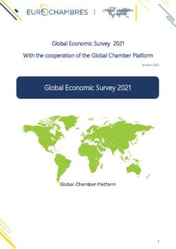 Global Economic Survey 2021 - Global Economic Survey 2021 With the cooperation of the Global Chamber Platform