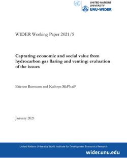 Capturing economic and social value from hydrocarbon gas flaring and venting: evaluation of the issues - WIDER Working Paper 2021/5