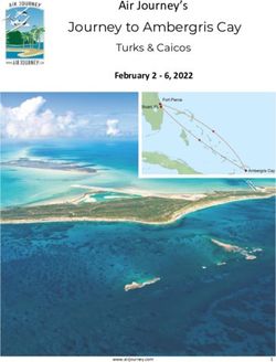 Journey to Ambergris Cay - Air Journey's Turks & Caicos