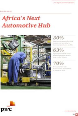 AFRICA'S NEXT AUTOMOTIVE HUB - PWC