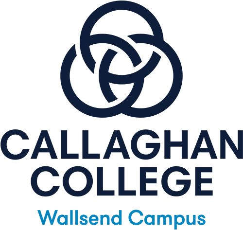 Strategic Improvement Plan 2021-2024 - Callaghan College Wallsend ...