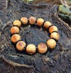 Skinned The growing appetite for Asian elephants - An investigative report from - Elephant Family