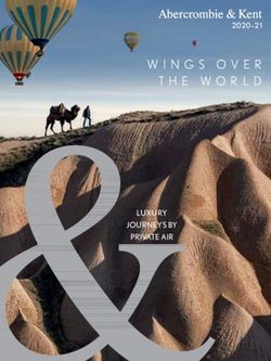 WINGS OVER THE WORLD - LUXURY JOURNEYS BY PRIVATE AIR - Abercrombie & Kent