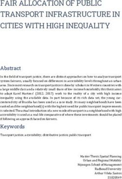 FAIR ALLOCATION OF PUBLIC TRANSPORT INFRASTRUCTURE IN CITIES WITH HIGH INEQUALITY