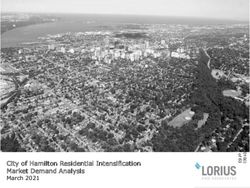 City of Hamilton Residential Intensification Market Demand Analysis March 2021