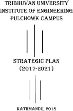 TRIBHUVAN UNIVERSITY INSTITUTE OF ENGINEERING PULCHOWK CAMPUS - STRATEGIC PLAN (2017-2021) KATHMANDU, 2018